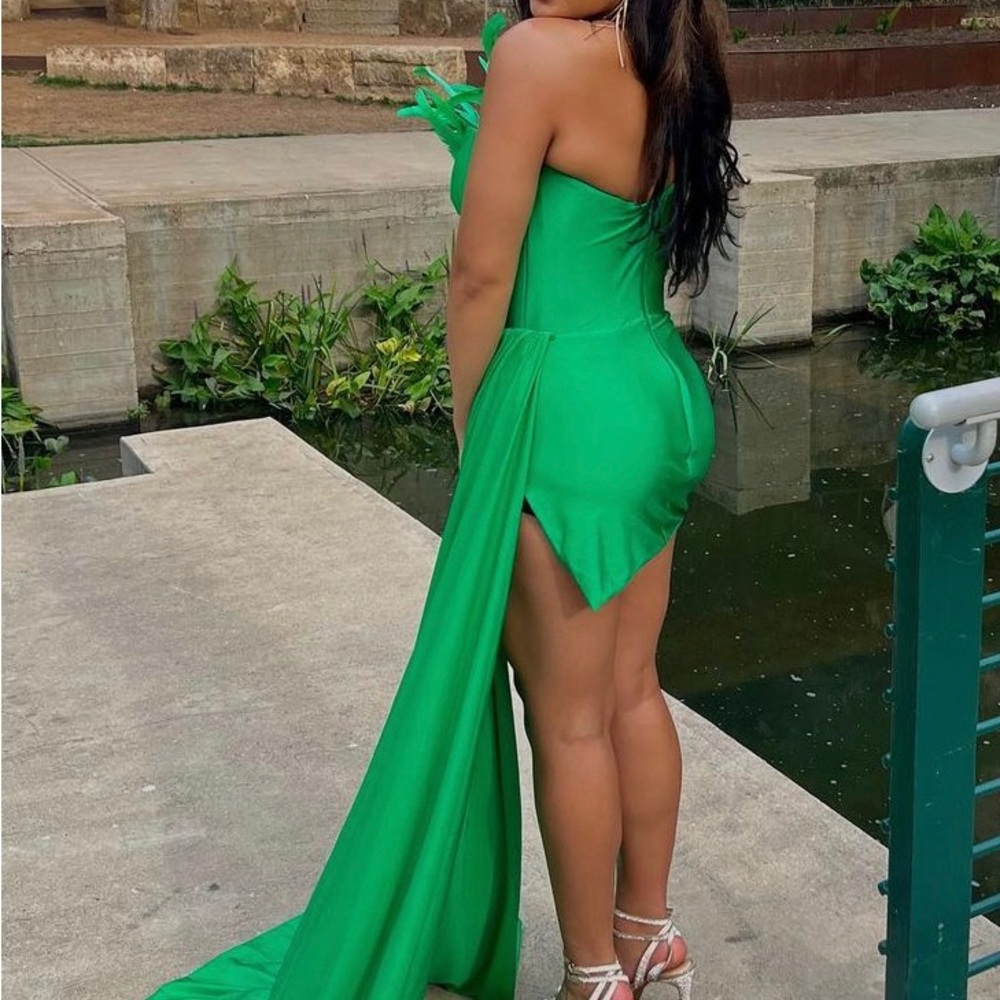 Albina Dyla dress worn once size XL , model is 5’9, 165lb